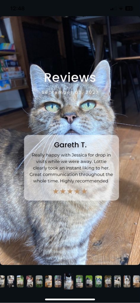 cat testimonial